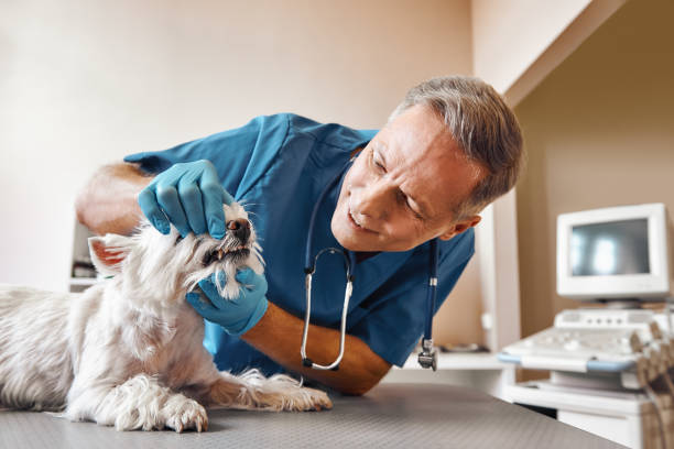 Best 24-Hour Emergency Dental Care in Andrews, SC